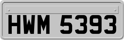 HWM5393