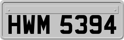 HWM5394