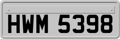 HWM5398