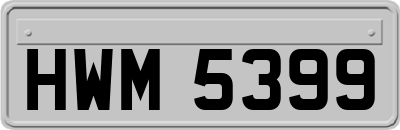 HWM5399