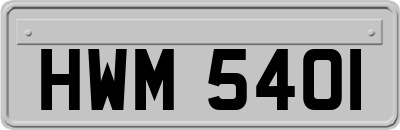 HWM5401