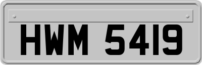 HWM5419