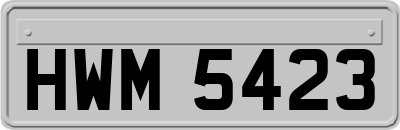 HWM5423