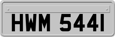 HWM5441
