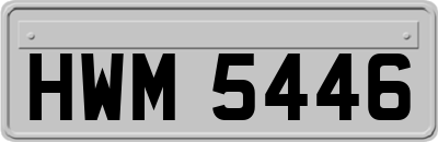 HWM5446