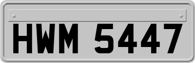 HWM5447