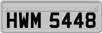 HWM5448