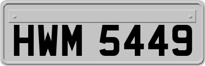 HWM5449