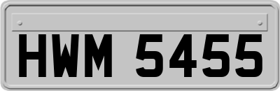 HWM5455