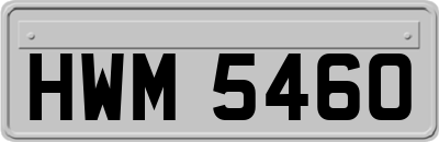 HWM5460