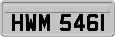 HWM5461