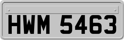 HWM5463