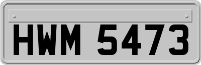 HWM5473
