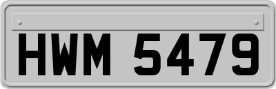 HWM5479