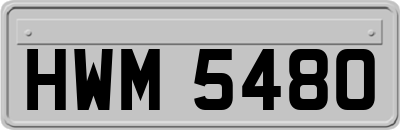 HWM5480