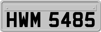 HWM5485