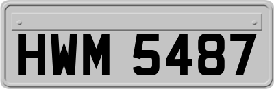 HWM5487
