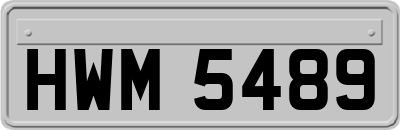 HWM5489