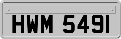 HWM5491