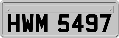 HWM5497