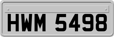 HWM5498