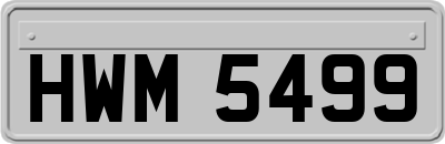 HWM5499