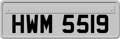 HWM5519