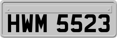 HWM5523