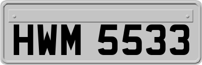 HWM5533