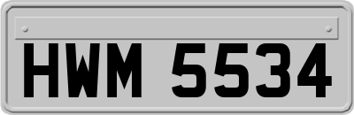 HWM5534
