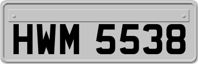 HWM5538