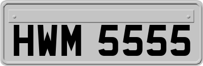 HWM5555