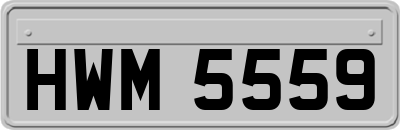 HWM5559