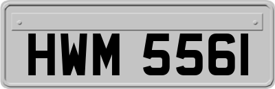 HWM5561