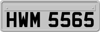 HWM5565