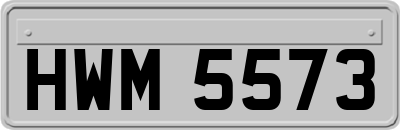 HWM5573