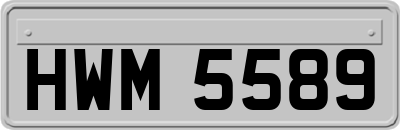 HWM5589