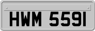 HWM5591