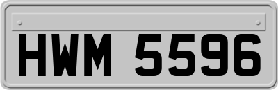 HWM5596