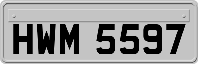 HWM5597