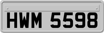 HWM5598