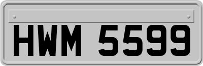 HWM5599