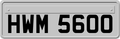 HWM5600