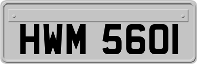 HWM5601