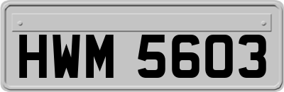 HWM5603