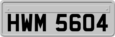HWM5604