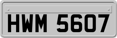 HWM5607