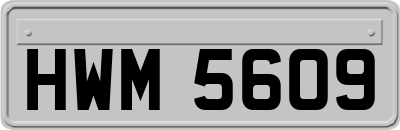 HWM5609