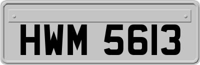 HWM5613