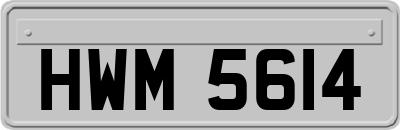 HWM5614